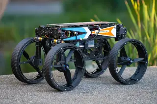 Caltech Morphobot M4 · 来源页主图