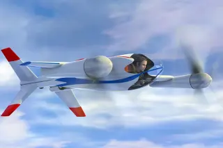 NASA Puffin · 来源页主图
