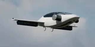 Lilium Eagle · 来源页主图